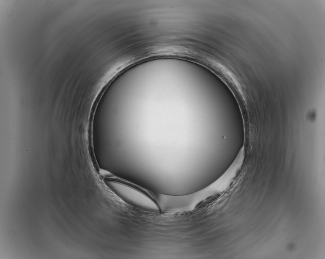 X0000099431330200805301420