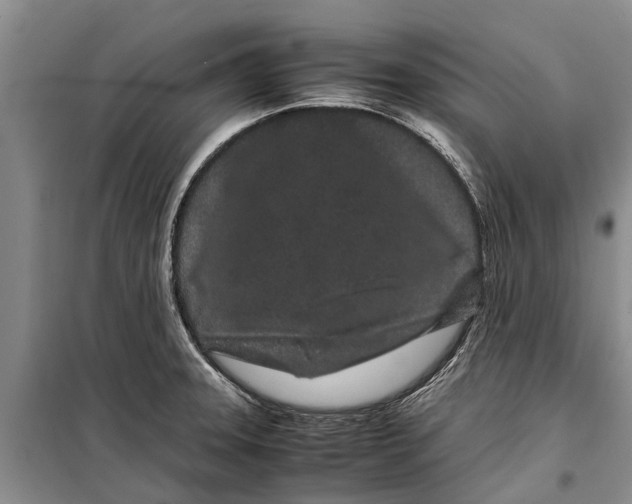 X0000099431331200805301420