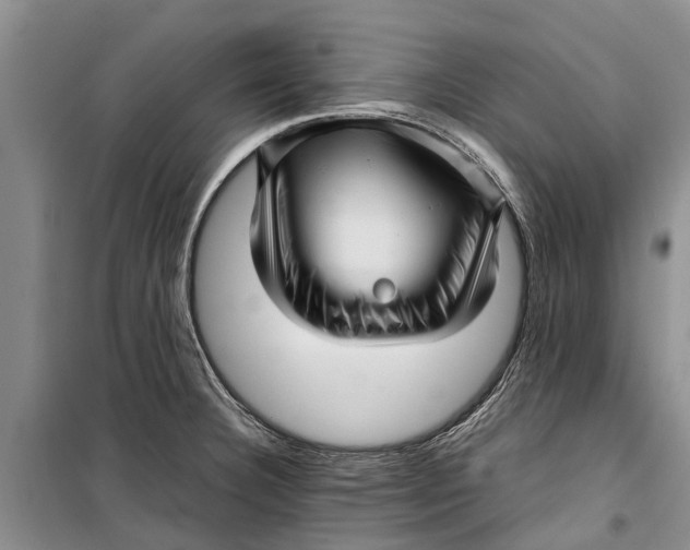 X0000099431332200805301420