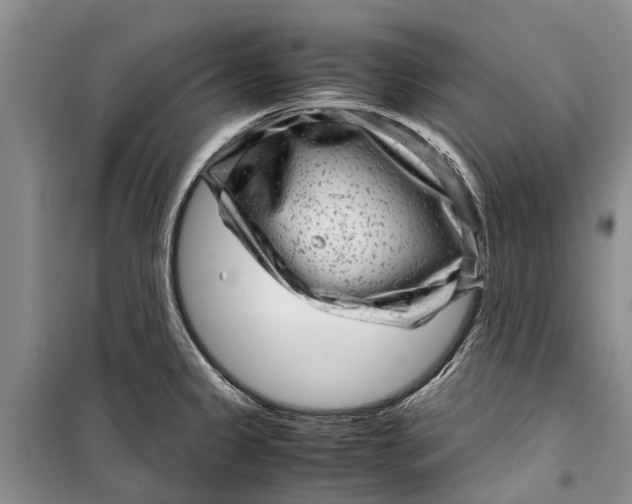 X0000099431333200805301420