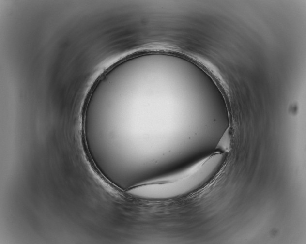 X0000099431335200805301420