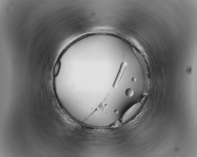 X0000099431336200805301420