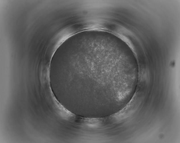 X0000099431338200805301420