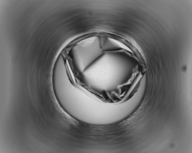 X0000099431339200805301421