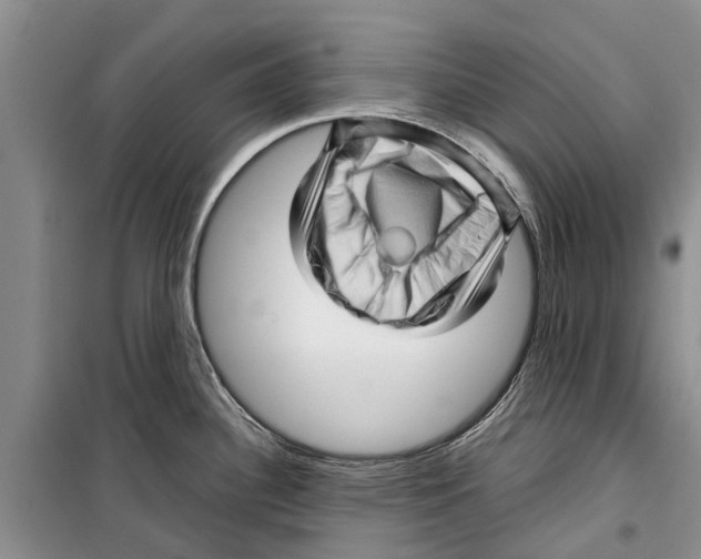 X0000099431340200805301421