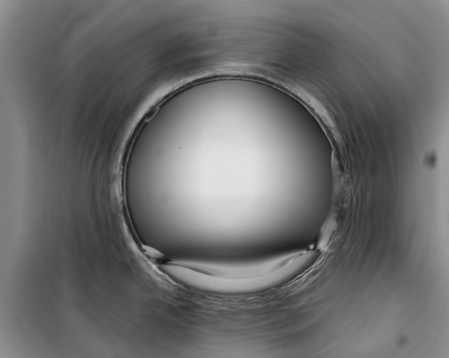 X0000099431342200805301421