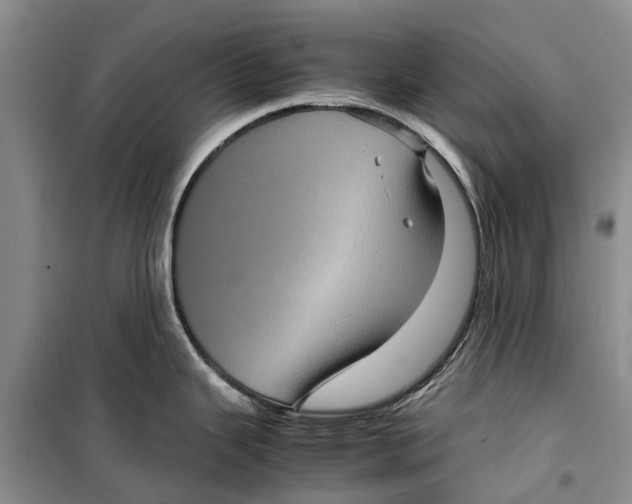 X0000099431343200805301421