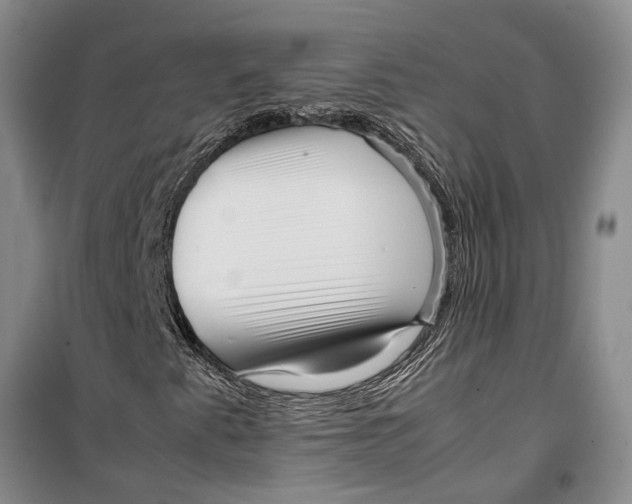 X0000099431345200805301420