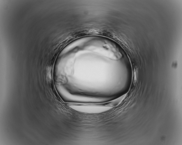 X0000099431347200805301420