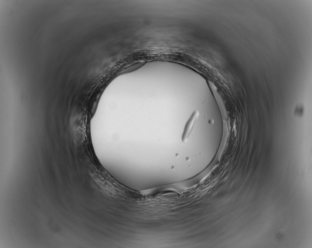 X0000099431348200805301420