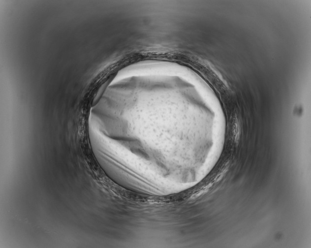 X0000099431350200805301420