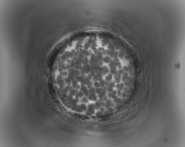 X0000099431351200805301420