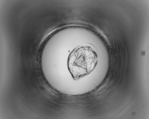 X0000099431352200805301420