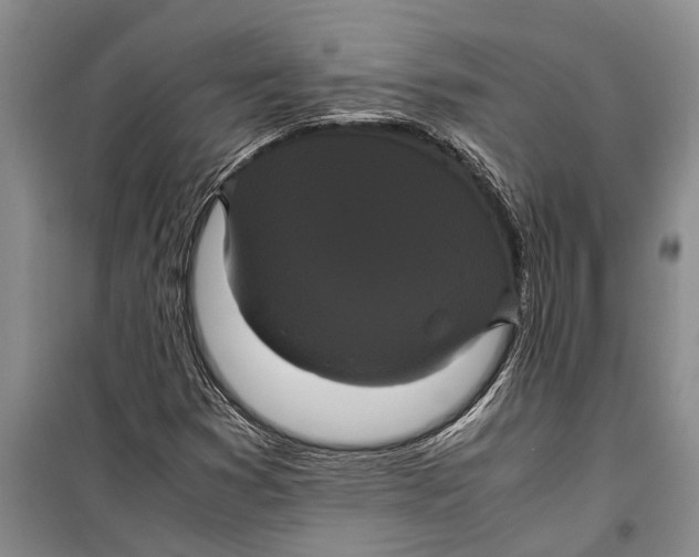 X0000099431353200805301420