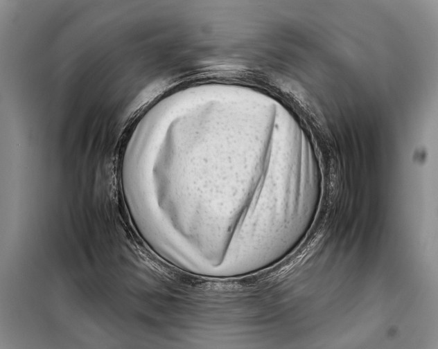 X0000099431354200805301420