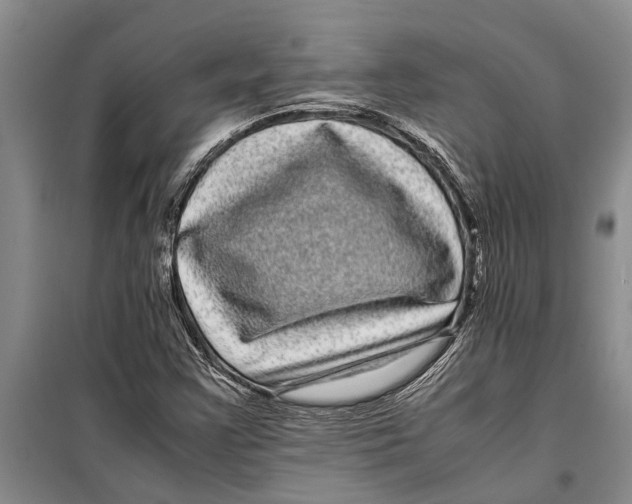 X0000099431355200805301420