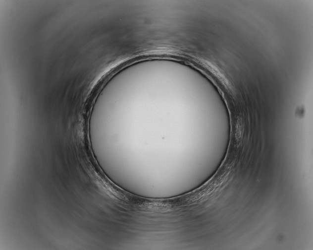 X0000099431356200805301420