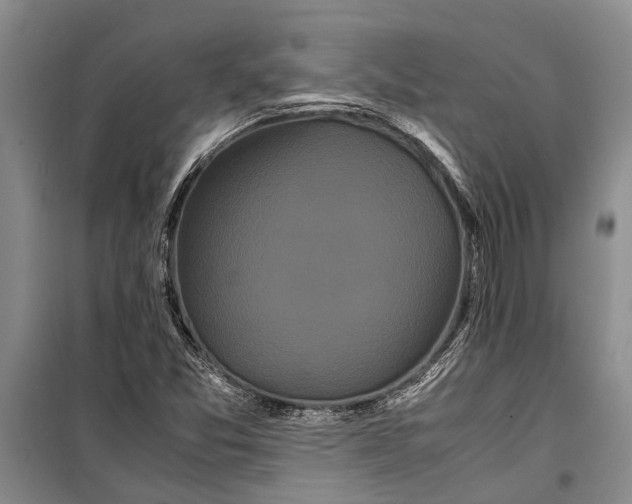 X0000099431357200805301420