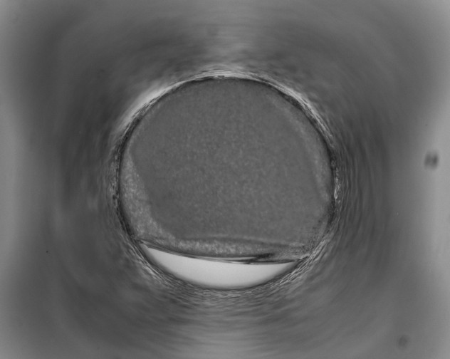 X0000099431359200805301420