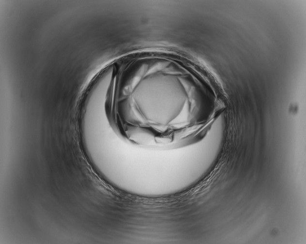 X0000099431360200805301420