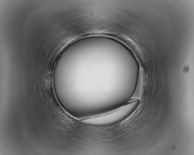 X0000099431361200805301420