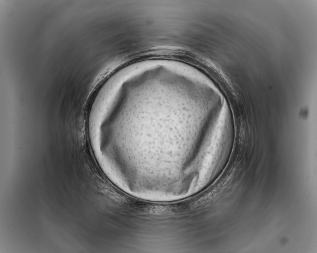 X0000099431362200805301420