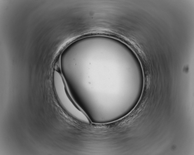 X0000099431363200805301420