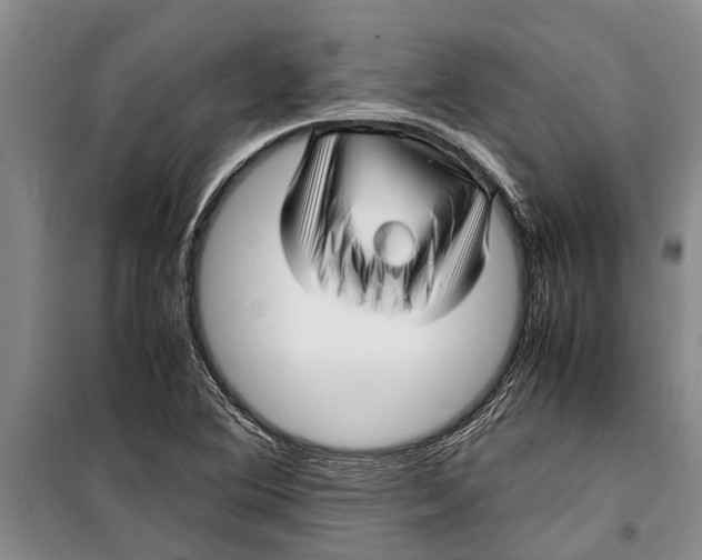 X0000099431364200805301420