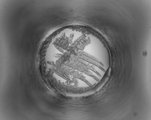 X0000099431367200805301419
