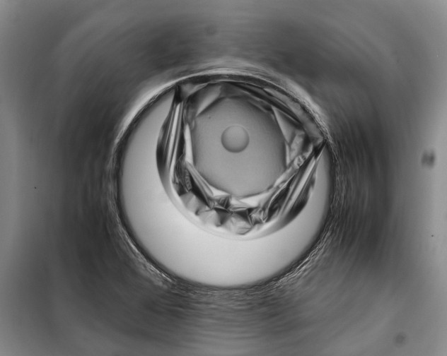 X0000099431368200805301419