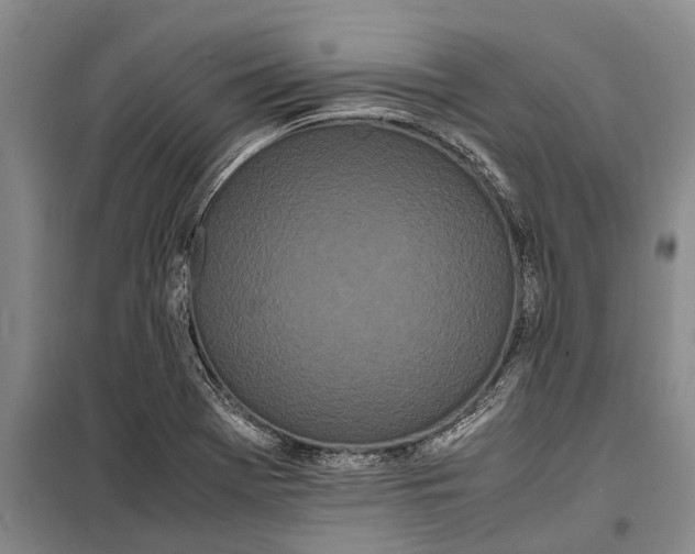 X0000099431369200805301419