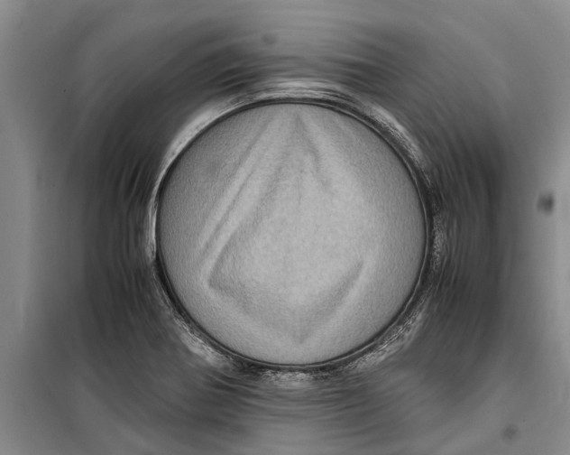 X0000099431370200805301419