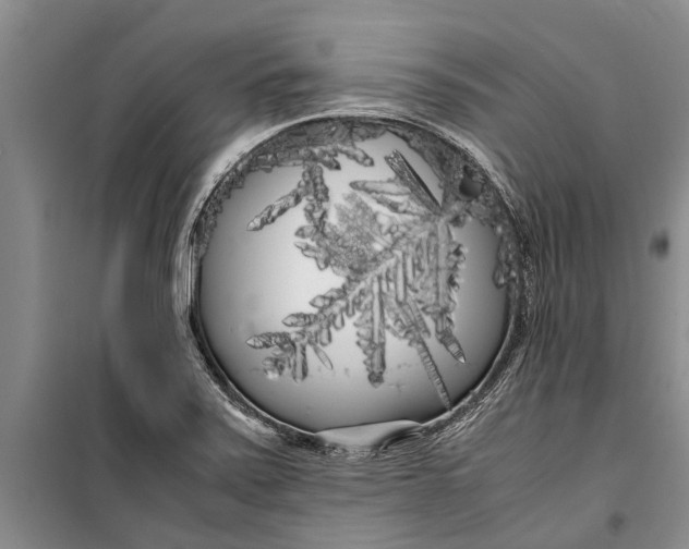 X0000099431371200805301419