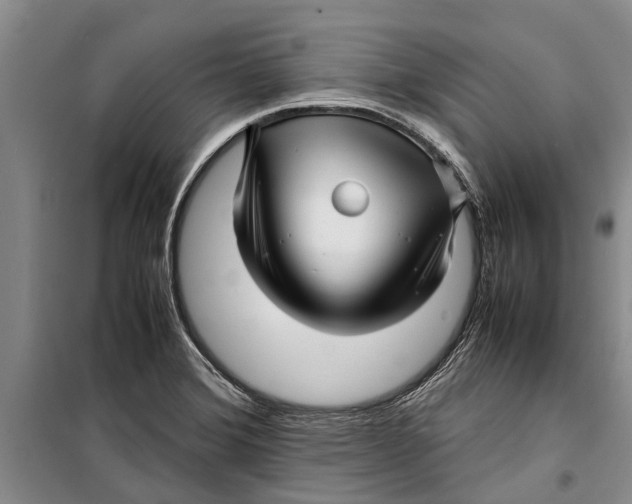 X0000099431372200805301419