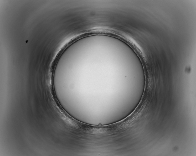X0000099431376200805301419