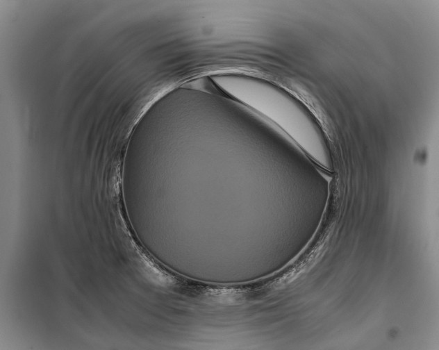 X0000099431377200805301419