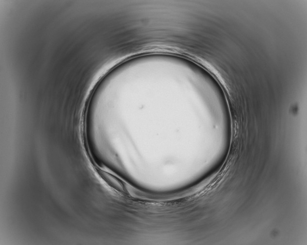 X0000099431379200805301419