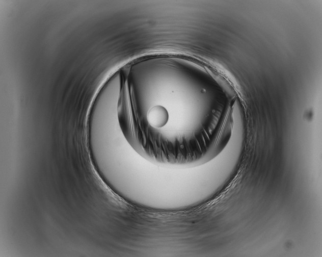 X0000099431380200805301419