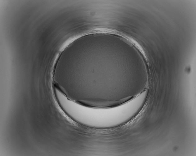 X0000099431381200805301419