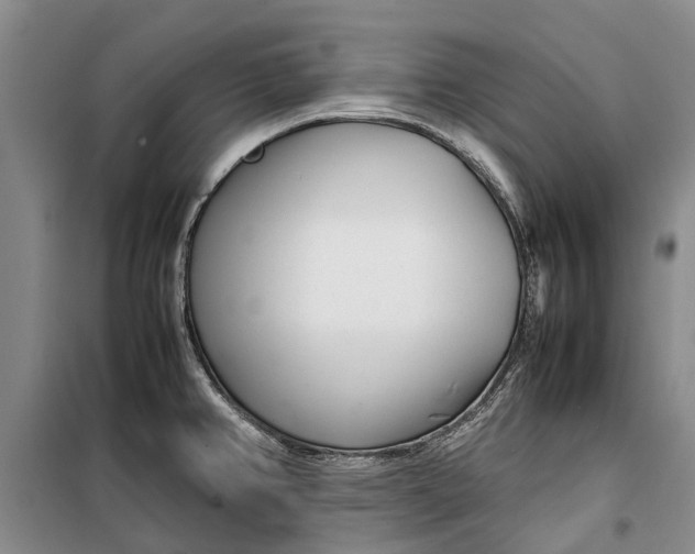 X0000099431382200805301419