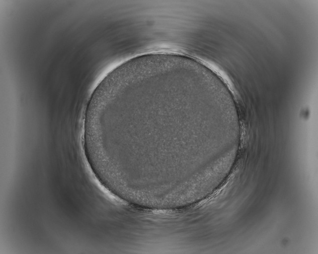 X0000099431383200805301419