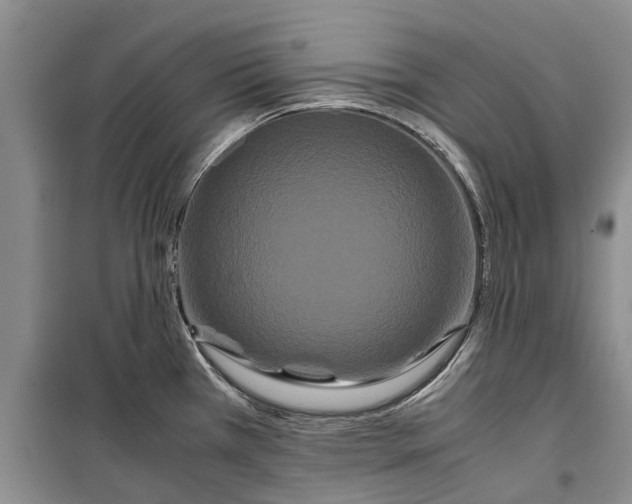 X0000099431385200805301419