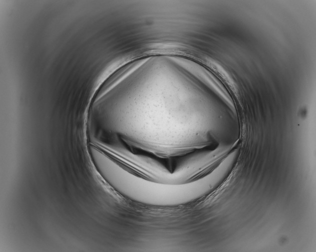 X0000099431386200805301419