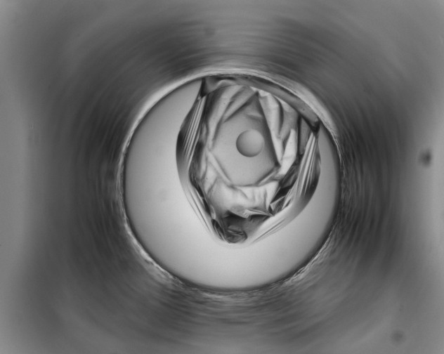 X0000099431388200805301419