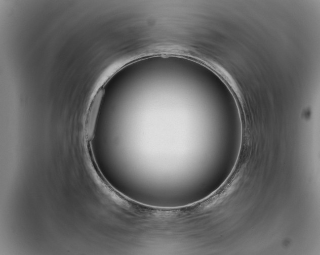 X0000099431389200805301419