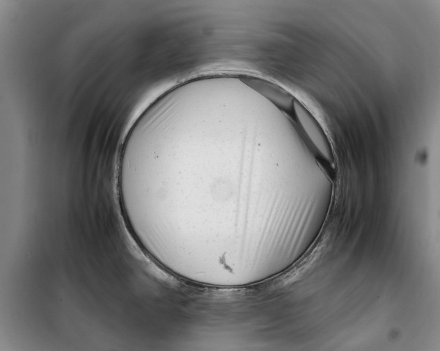 X0000099431390200805301419