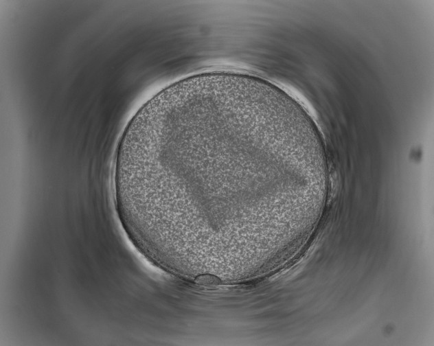 X0000099431391200805301419