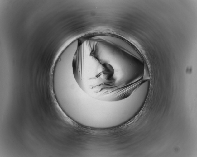 X0000099431392200805301419