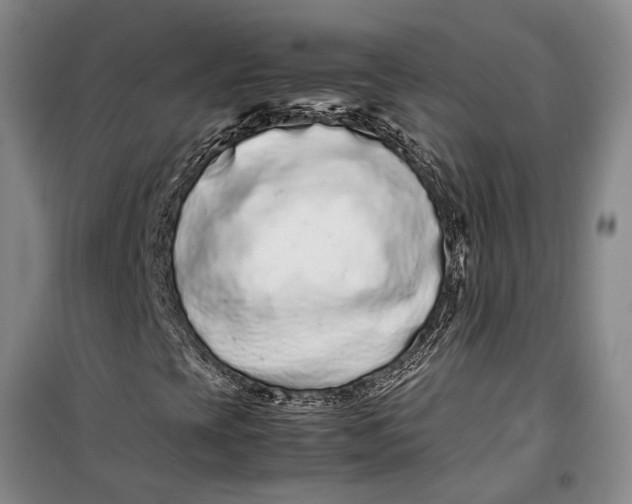 X0000099431393200805301418