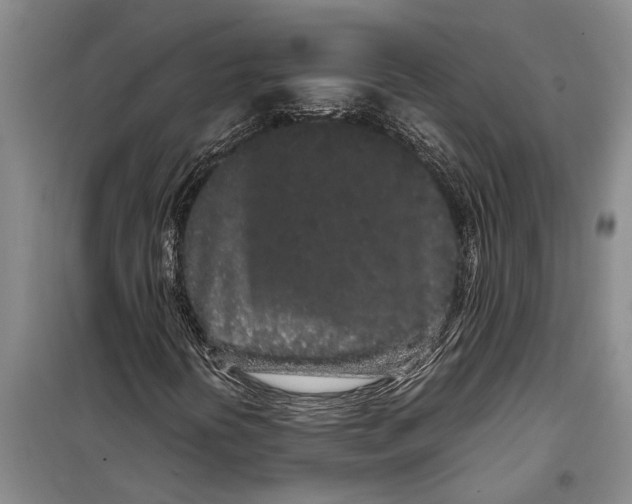 X0000099431394200805301419